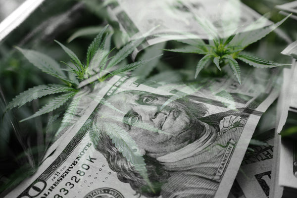 Cannabis Trends for Growing & Consumers