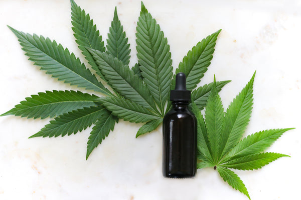 Extracts & Concentrates - The New Way to Grow