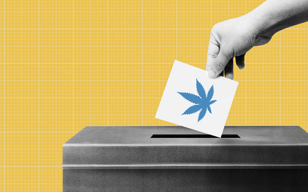Trim Daddy’s 2020 Cannabis Voter’s Guide